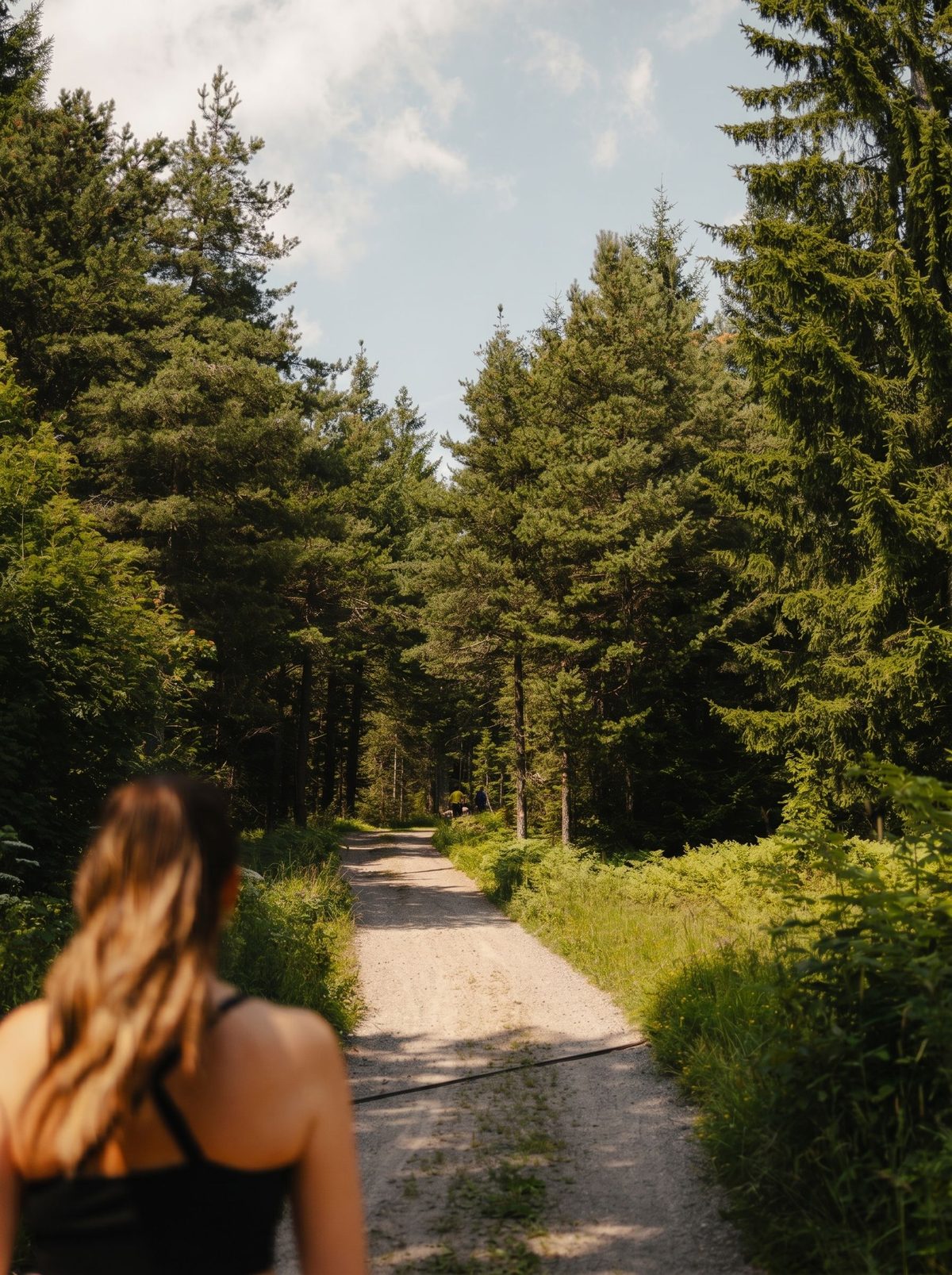 Südtiroler Naturlandschaft bei Kohlbrenner Lodges
